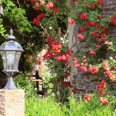 Pension Martinerhof Wintrich Luaran gambar